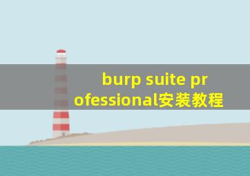 burp suite professional安装教程